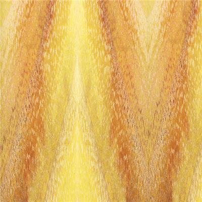 Oranger des osages 30x30x125